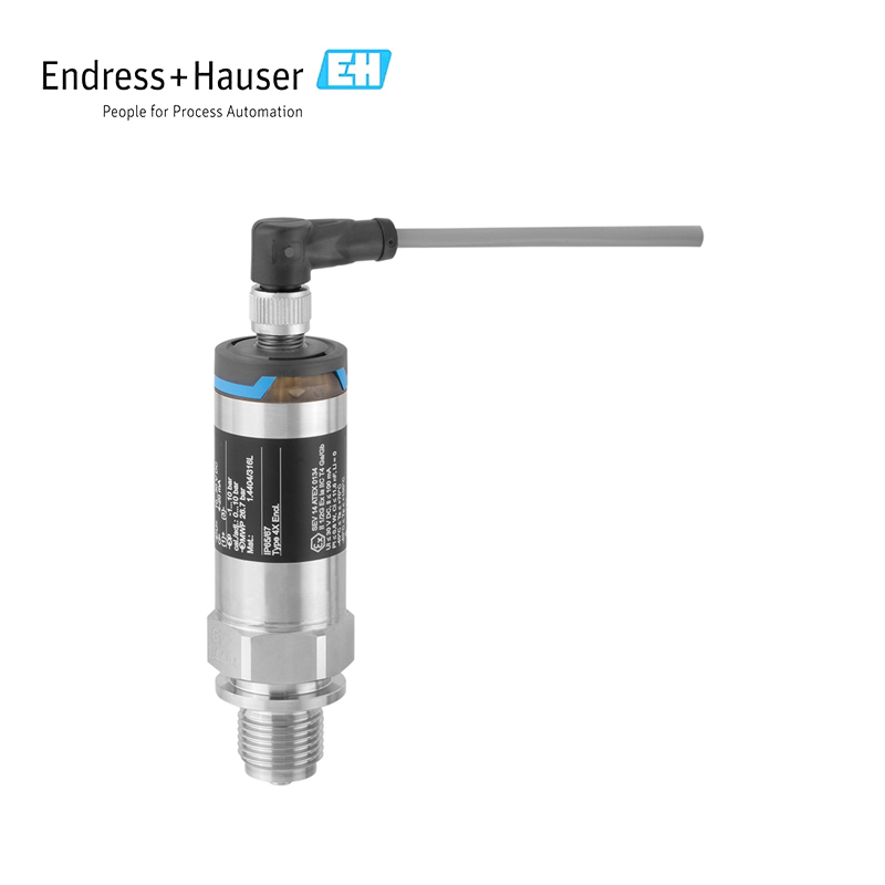 Endress+Hauser PMP21 Датчик давления