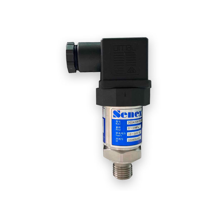 SENEX DG2-ZS Специальный преобразователь давления