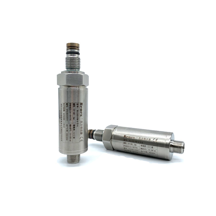 SENEX DG1300-PM плоскопленочный датчик давления