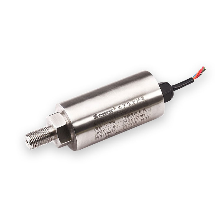 SENEX DG1300-DK Электронный переключатель давления