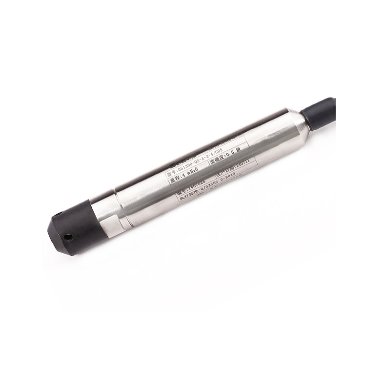 SENEX DG1300-QS Датчик давления погружного типа